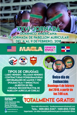 IX Jornada de Pabell&oacute;n Auricular