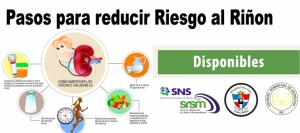 8 Consejos para mantener los ri&ntilde;ones sanos